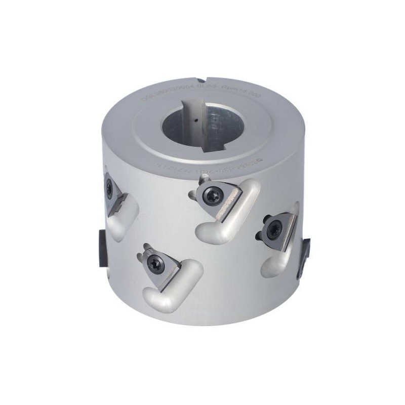 DGL.080030054.0LA3 Głowica D-80 l-54 d-30+2CH Z-2+2 (10) a30&deg; H-3 LH bez podfrezowania / SCM ITA TOOLS